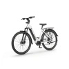 Rower elektryczny ecobike LX300 17 white v3 25Ah