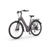 ROWER ELEKTRYCZNY ECOBIKE X-CITY 19 COFFEE 17,5Ah 630 Wh