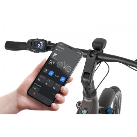 ROWER ELEKTRYCZNY ECOBIKE DARE 19" 900Wh (25Ah)