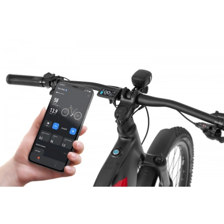 ROWER ELEKTRYCZNY ECOBIKE RX500 BLACK SUV 19" CAN 960Wh (20Ah)