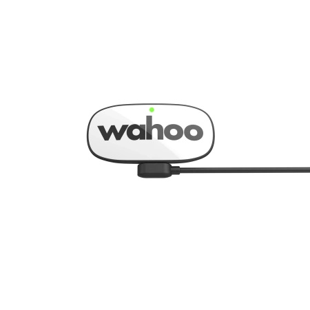 Sensor Pomiaru tętna WAHOO TRACKR Heart Rate